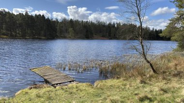 Perthshire dağlarında Loch Meallbrodden İskoç yamaç yürüyüşü. Geniş açık İskoçya vahşi doğası yuvarlanan tepeleri açıyor. Uzun mesafe yürüyüşü macerası.