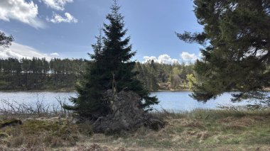 Perthshire dağlarında Loch Meallbrodden İskoç yamaç yürüyüşü. Geniş açık İskoçya vahşi doğası yuvarlanan tepeleri açıyor. Uzun mesafe yürüyüşü macerası.