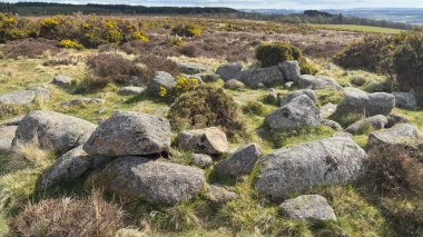Fowlis Wester Taş Çemberi. Eski Pict Ortaçağ anıtı. Perthshire dağlarında İskoç yamaç yürüyüşü. Geniş açık İskoçya vahşi doğası yuvarlanan tepeleri açıyor. Uzun mesafe yürüyüşü macerası.
