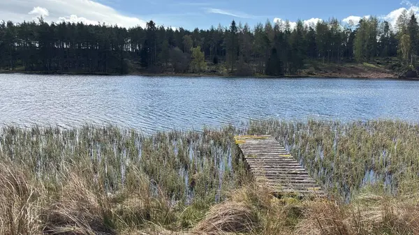 Perthshire dağlarında Loch Meallbrodden İskoç yamaç yürüyüşü. Geniş açık İskoçya vahşi doğası yuvarlanan tepeleri açıyor. Uzun mesafe yürüyüşü macerası.