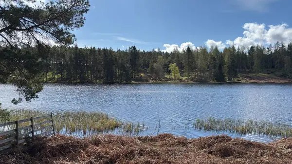 Perthshire dağlarında Loch Meallbrodden İskoç yamaç yürüyüşü. Geniş açık İskoçya vahşi doğası yuvarlanan tepeleri açıyor. Uzun mesafe yürüyüşü macerası.