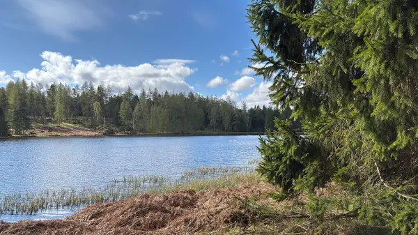 Perthshire dağlarında Loch Meallbrodden İskoç yamaç yürüyüşü. Geniş açık İskoçya vahşi doğası yuvarlanan tepeleri açıyor. Uzun mesafe yürüyüşü macerası.