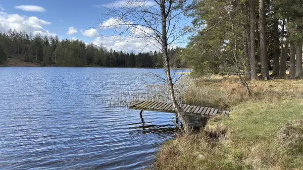 Perthshire dağlarında Loch Meallbrodden İskoç yamaç yürüyüşü. Geniş açık İskoçya vahşi doğası yuvarlanan tepeleri açıyor. Uzun mesafe yürüyüşü macerası.