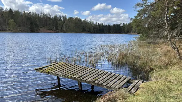 Perthshire dağlarında Loch Meallbrodden İskoç yamaç yürüyüşü. Geniş açık İskoçya vahşi doğası yuvarlanan tepeleri açıyor. Uzun mesafe yürüyüşü macerası.