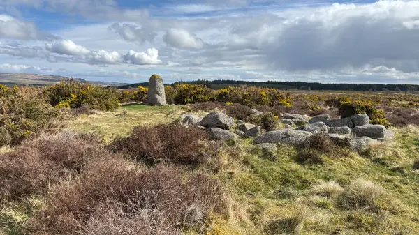 Fowlis Wester Taş Çemberi. Eski Pict Ortaçağ anıtı. Perthshire dağlarında İskoç yamaç yürüyüşü. Geniş açık İskoçya vahşi doğası yuvarlanan tepeleri açıyor. Uzun mesafe yürüyüşü macerası.