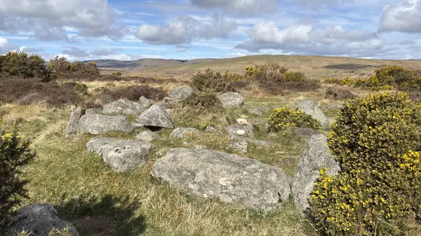 Fowlis Wester Taş Çemberi. Eski Pict Ortaçağ anıtı. Perthshire dağlarında İskoç yamaç yürüyüşü. Geniş açık İskoçya vahşi doğası yuvarlanan tepeleri açıyor. Uzun mesafe yürüyüşü macerası.