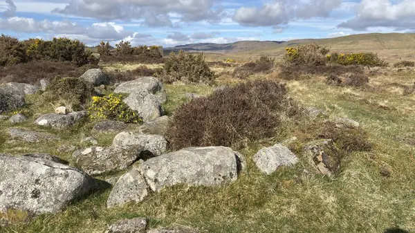Fowlis Wester Taş Çemberi. Eski Pict Ortaçağ anıtı. Perthshire dağlarında İskoç yamaç yürüyüşü. Geniş açık İskoçya vahşi doğası yuvarlanan tepeleri açıyor. Uzun mesafe yürüyüşü macerası.