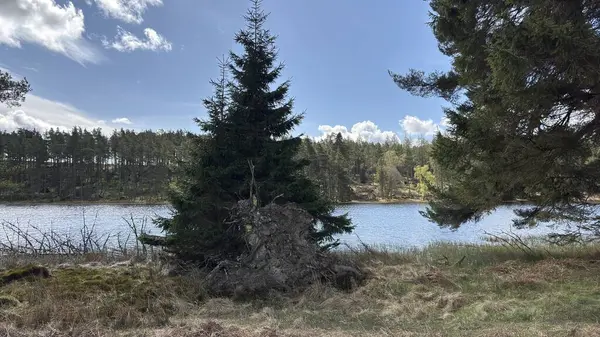 Perthshire dağlarında Loch Meallbrodden İskoç yamaç yürüyüşü. Geniş açık İskoçya vahşi doğası yuvarlanan tepeleri açıyor. Uzun mesafe yürüyüşü macerası.