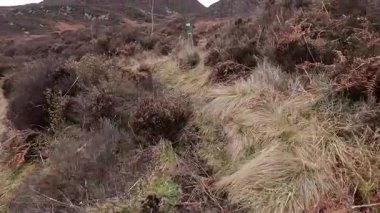 Perthshire dağlarında İskoç yamaç yürüyüşü. Geniş açık İskoçya vahşi doğası yuvarlanan tepeleri açıyor. Uzun mesafe macera yürüyüşü Dun Coillich