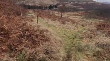 Perthshire dağlarında İskoç yamaç yürüyüşü. Geniş açık İskoçya vahşi doğası yuvarlanan tepeleri açıyor. Uzun mesafe macera yürüyüşü Dun Coillich