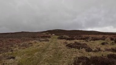 Perthshire dağlarında İskoç yamaç yürüyüşü. Geniş açık İskoçya vahşi doğası yuvarlanan tepeleri açıyor. Uzun mesafe macera yürüyüşü. Kış gölü ve Glen.