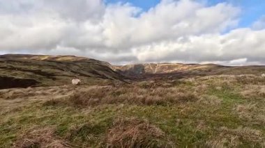 Perthshire dağlarında İskoç yamaç yürüyüşü. Geniş açık İskoçya vahşi doğası yuvarlanan tepeleri açıyor. Uzun mesafe macera yürüyüşü. Kış gölü ve Glen.