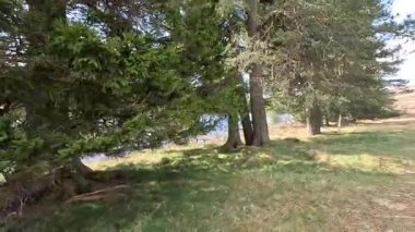 Perthshire dağlarında Loch Meallbrodden İskoç yamaç yürüyüşü. Geniş açık İskoçya vahşi doğası yuvarlanan tepeleri açıyor. Uzun mesafe macera yürüyüşü. Kış gölü ve Glen.