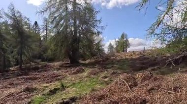 Perthshire dağlarında İskoç yamaç yürüyüşü. Geniş açık İskoçya vahşi doğası yuvarlanan tepeleri açıyor. Uzun mesafe macera yürüyüşü. Kış gölü ve Glen.