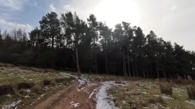 İskoçya 'daki Edinburgh yakınlarındaki Pentland Hills' te İskoç Hillwalking. Dışarıda yürüyüş, dağ tepesinde kovalamaca, dışarıda yamaçta tırmanma.