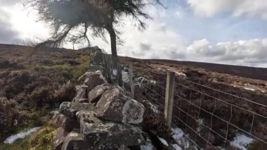 İskoçya 'daki Edinburgh yakınlarındaki Pentland Hills' te İskoç Hillwalking. Dışarıda yürüyüş, dağ tepesinde kovalamaca, dışarıda yamaçta tırmanma.