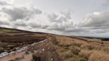 İskoçya 'daki Edinburgh yakınlarındaki Pentland Hills' te İskoç Hillwalking. Dışarıda yürüyüş, dağ tepesinde kovalamaca, dışarıda yamaçta tırmanma.