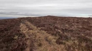 İskoçya 'daki Edinburgh yakınlarındaki Pentland Hills' te İskoç Hillwalking. Dışarıda yürüyüş, dağ tepesinde kovalamaca, dışarıda yamaçta tırmanma.