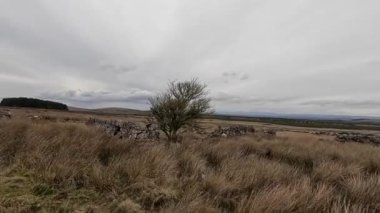 İskoçya 'daki Edinburgh yakınlarındaki Pentland Hills' te İskoç Hillwalking. Dışarıda yürüyüş, dağ tepesinde kovalamaca, dışarıda yamaçta tırmanma.