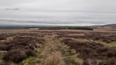 İskoçya 'daki Edinburgh yakınlarındaki Pentland Hills' te İskoç Hillwalking. Dışarıda yürüyüş, dağ tepesinde kovalamaca, dışarıda yamaçta tırmanma.