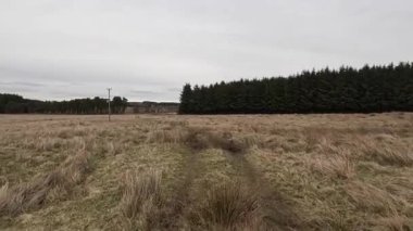 İskoçya 'daki Edinburgh yakınlarındaki Pentland Hills' te İskoç Hillwalking. Dışarıda yürüyüş, dağ tepesinde kovalamaca, dışarıda yamaçta tırmanma.