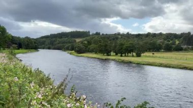Aberlour 'daki Spey Nehri. İskoçya 'nın dağlık kesimlerinde ünlü İskoç somon balıkçılığı nehri. 