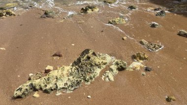 Lagos yakınlarındaki Portekiz 'in Algarve sahil şeridinde güzel sahil kayalıkları, kayalar ve plajlar. Okyanus dalgaları kumtaşı yapıları turistik eğlence mağaraları geziler kumsal hayatı kumları.