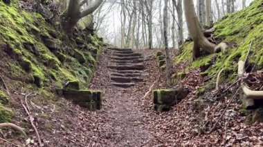 Yester Kalesi harabesi. Perili Cin şatosu hayaletli taş yapı terk edilmiş eski İskoç tahkimatları askeri harabe. 