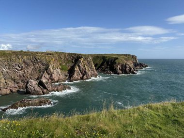 Güzel İskoç engebeli kıyı şeridi Kuzey Denizi yamacı yaz güneşinin altında