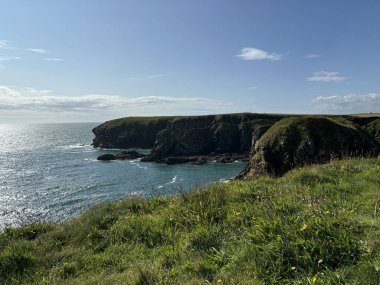 Güzel İskoç engebeli kıyı şeridi Kuzey Denizi yamacı yaz güneşinin altında