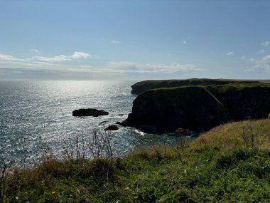 Güzel İskoç engebeli kıyı şeridi Kuzey Denizi yamacı yaz güneşinin altında