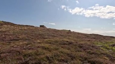 Buchan Bullers uçurumun kenarında yürüyor. Güzel İskoç engebeli kıyı şeridi Kuzey Denizi yamacı yaz güneşinin altında