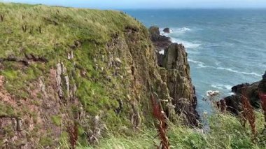 Güzel İskoç engebeli kıyı şeridi Kuzey Denizi yamacı yaz güneşinin altında
