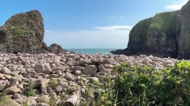 Güzel İskoç engebeli kıyı şeridi Kuzey Denizi yamacı yaz güneşinin altında