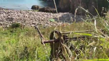 Güzel İskoç engebeli kıyı şeridi Kuzey Denizi yamacı yaz güneşinin altında