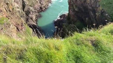 Güzel İskoç engebeli kıyı şeridi Kuzey Denizi yamacı yaz güneşinin altında