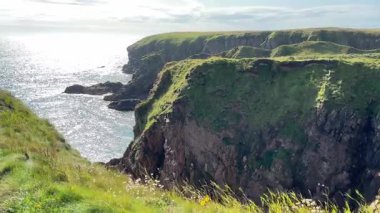 Güzel İskoç engebeli kıyı şeridi Kuzey Denizi yamacı yaz güneşinin altında