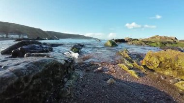 İskoçya 'da Eyemouth ve Burnmouth arasındaki engebeli kayalıklara çarpan dramatik dalgalar, rüzgarlı sahil şeridini kasıp kavuruyor.
