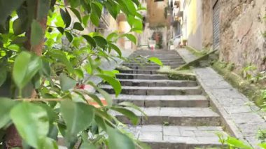 Napoli 'nin atmosferik sokak manzarası şehir yaşamını, tarihi mimariyi ve güney İtalya' nın hareketli şehir manzarasını gözler önüne seriyor..