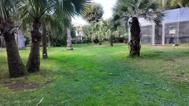 Napoli 'deki Reggia di Portici' nin huzurlu bahçeleri yemyeşil, yürüyüş yolları ve manzaralı kraliyet peyzajı.