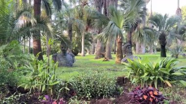 Napoli 'deki Reggia di Portici' nin huzurlu bahçeleri yemyeşil, yürüyüş yolları ve manzaralı kraliyet peyzajı.