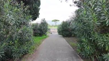 Napoli yakınlarındaki Pompei 'nin antik harabeleri, açık yaz gökyüzü altında korunmuş Roma sokaklarını, binalarını ve volkanik tarihini sergiliyordu.