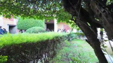 Napoli yakınlarındaki Pompei 'nin antik harabeleri, açık yaz gökyüzü altında korunmuş Roma sokaklarını, binalarını ve volkanik tarihini sergiliyordu.