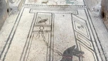 Napoli yakınlarındaki Pompei 'nin antik harabeleri, açık yaz gökyüzü altında korunmuş Roma sokaklarını, binalarını ve volkanik tarihini sergiliyordu.