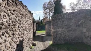 Napoli yakınlarındaki Pompei 'nin antik harabeleri, açık yaz gökyüzü altında korunmuş Roma sokaklarını, binalarını ve volkanik tarihini sergiliyordu.