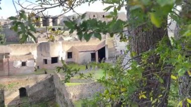 Napoli yakınlarındaki Pompei 'nin antik harabeleri, açık yaz gökyüzü altında korunmuş Roma sokaklarını, binalarını ve volkanik tarihini sergiliyordu.