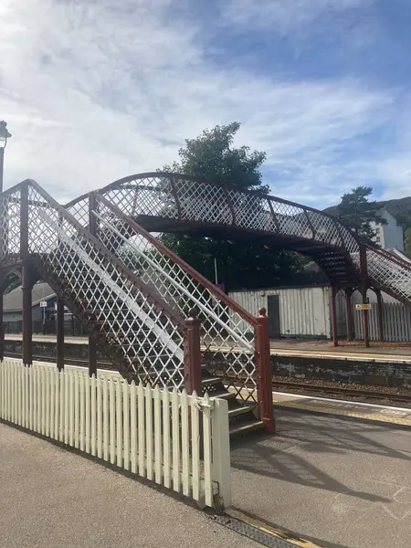 Speyside manzaralı Speyside 'da Aviemore ile Garten' ın teknesi arasındaki Strathspey Demiryolu 'nda nostaljik bir İskoç buharlı tren yolculuğu..