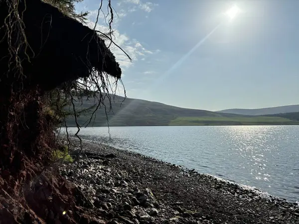 Akan su ve hava nedeniyle doğal aşınma belirtileri gösteren, açık toprak ve köklerle aşınmış nehir kıyısı çevresel değişimi ve toprak bozulmasını vurguluyor..