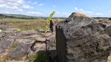 Eski St. Ninian 'ın Fife' daki açık kömür madeni hakkındaki geniş görüşler, Charles Jencks tarafından tamamlanmamış bir Fife Earth Projesine dönüştürüldü..