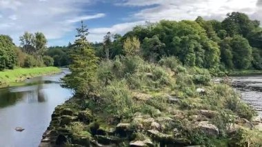 Perthshire 'daki Tay nehrinin manzarası, ormanlık ve kırsal alanlarda süzülüyor, yansımalar, vahşi yaşam ve sakin akan su